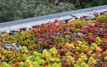 the cost of Llangwyllog green roof installation